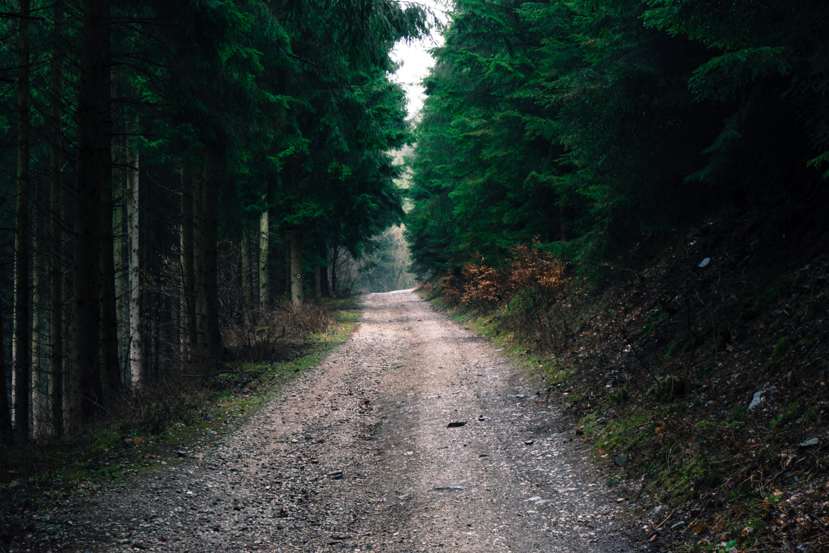 une magnifique vue sur la dolce via, une voie férré renovée en piste de gravel bike.