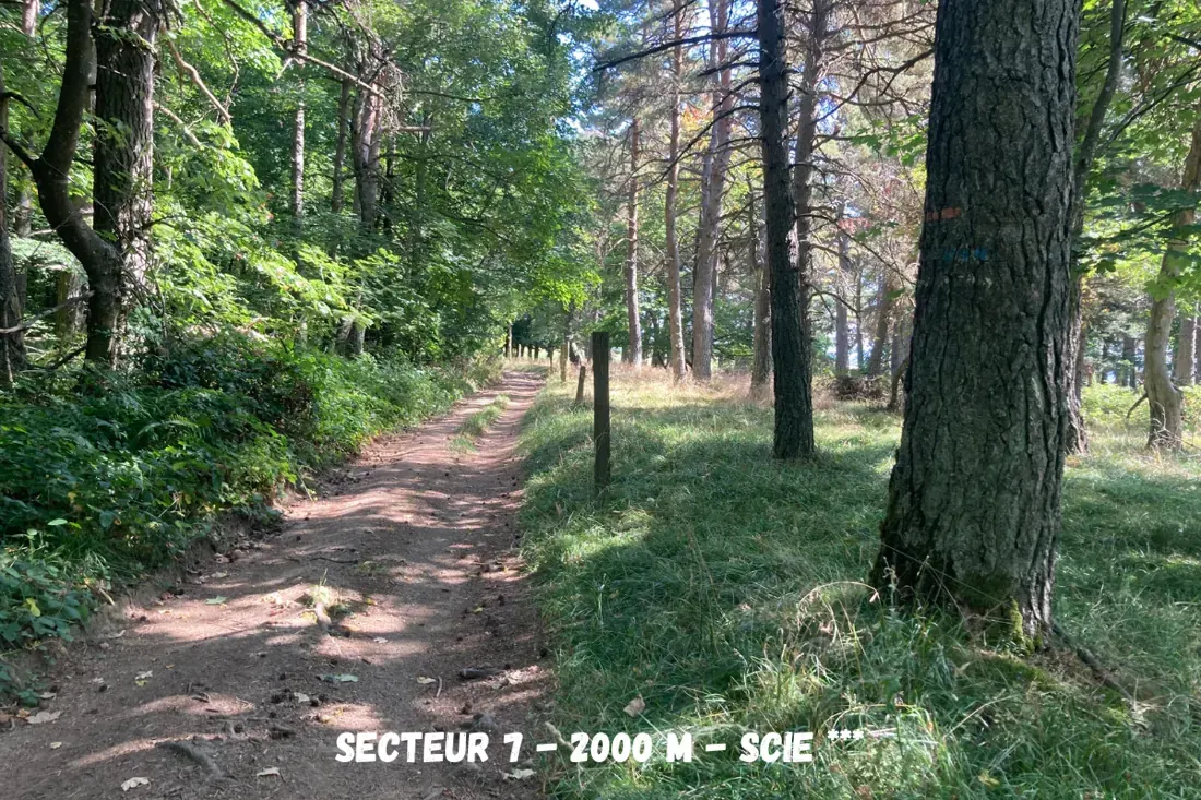 Paysages et chemins associés aux parcours gravel en Ardèche